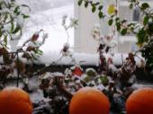 toulouse-neige-672.jpg